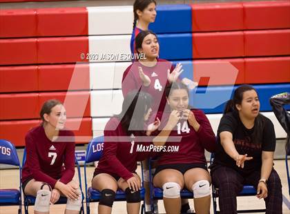Thumbnail 3 in Wilson @ Los Altos photogallery.