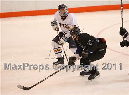 Thumbnail 2 in Webster Thomas vs. Brockport (Section 5 Division II Final) photogallery.