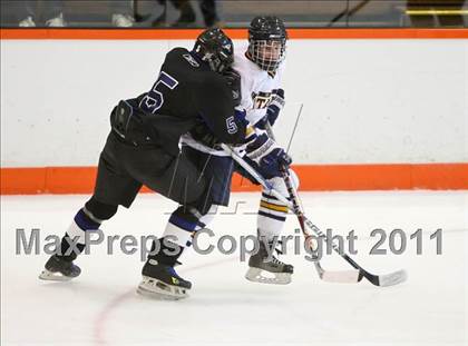 Thumbnail 2 in Webster Thomas vs. Brockport (Section 5 Division II Final) photogallery.