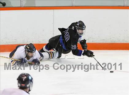 Thumbnail 2 in Webster Thomas vs. Brockport (Section 5 Division II Final) photogallery.