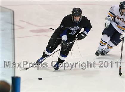 Thumbnail 2 in Webster Thomas vs. Brockport (Section 5 Division II Final) photogallery.