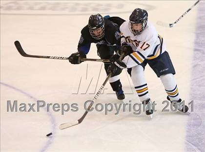 Thumbnail 2 in Webster Thomas vs. Brockport (Section 5 Division II Final) photogallery.