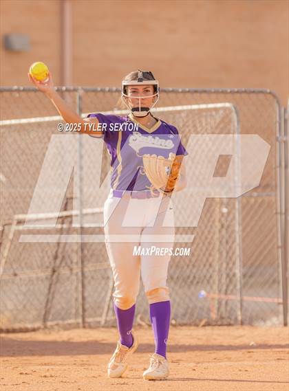 Thumbnail 1 in Cholla @ Sabino photogallery.