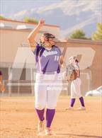 Photo from the gallery "Cholla @ Sabino"