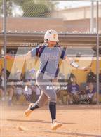 Photo from the gallery "Cholla @ Sabino"
