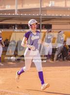 Photo from the gallery "Cholla @ Sabino"