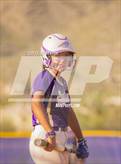Photo from the gallery "Cholla @ Sabino"