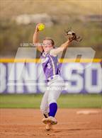 Photo from the gallery "Cholla @ Sabino"