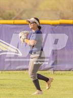 Photo from the gallery "Cholla @ Sabino"