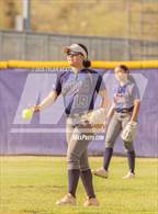 Photo from the gallery "Cholla @ Sabino"