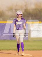 Photo from the gallery "Cholla @ Sabino"