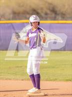 Photo from the gallery "Cholla @ Sabino"