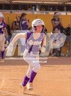 Photo from the gallery "Cholla @ Sabino"