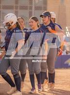 Photo from the gallery "Cholla @ Sabino"