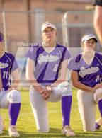 Photo from the gallery "Cholla @ Sabino"