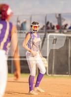 Photo from the gallery "Cholla @ Sabino"