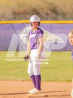 Photo from the gallery "Cholla @ Sabino"