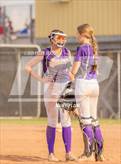 Photo from the gallery "Cholla @ Sabino"