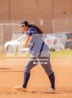 Photo from the gallery "Cholla @ Sabino"