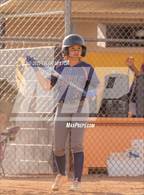 Photo from the gallery "Cholla @ Sabino"