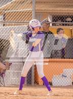 Photo from the gallery "Cholla @ Sabino"