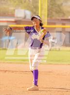 Photo from the gallery "Cholla @ Sabino"