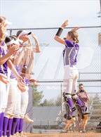 Photo from the gallery "Cholla @ Sabino"