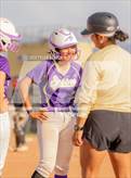 Photo from the gallery "Cholla @ Sabino"