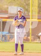 Photo from the gallery "Cholla @ Sabino"