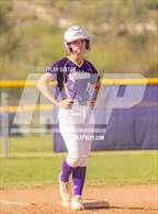 Photo from the gallery "Cholla @ Sabino"