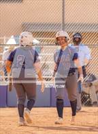 Photo from the gallery "Cholla @ Sabino"