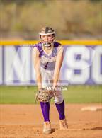 Photo from the gallery "Cholla @ Sabino"
