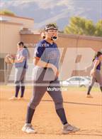 Photo from the gallery "Cholla @ Sabino"