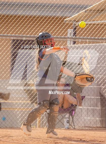 Thumbnail 1 in Cholla @ Sabino photogallery.