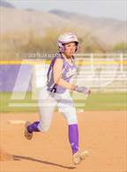 Photo from the gallery "Cholla @ Sabino"