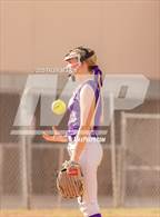 Photo from the gallery "Cholla @ Sabino"