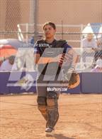 Photo from the gallery "Cholla @ Sabino"
