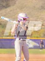 Photo from the gallery "Cholla @ Sabino"