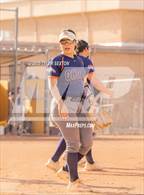 Photo from the gallery "Cholla @ Sabino"