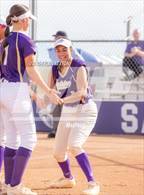 Photo from the gallery "Cholla @ Sabino"