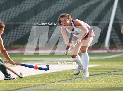 Thumbnail 1 in Harborfield @ East Hampton photogallery.