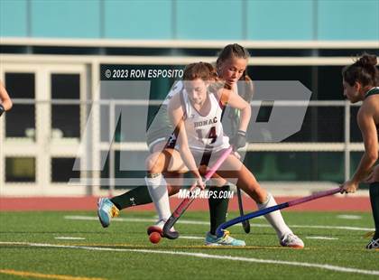Thumbnail 1 in Harborfield @ East Hampton photogallery.