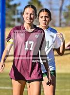 Photo from the gallery "Conifer @ Golden"