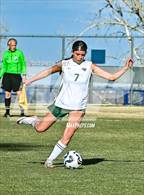 Photo from the gallery "Conifer @ Golden"