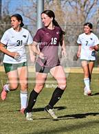 Photo from the gallery "Conifer @ Golden"