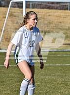 Photo from the gallery "Conifer @ Golden"