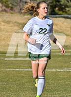 Photo from the gallery "Conifer @ Golden"