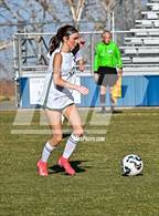 Photo from the gallery "Conifer @ Golden"