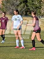 Photo from the gallery "Conifer @ Golden"