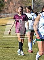 Photo from the gallery "Conifer @ Golden"